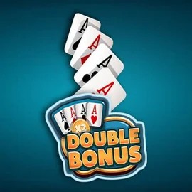 Play the Double Double Bonus slot by Red Rake Gaming on HiddenJack Casino